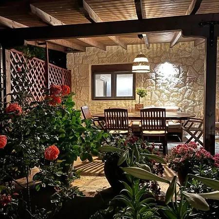 Palma House 公寓 萨尔蒂