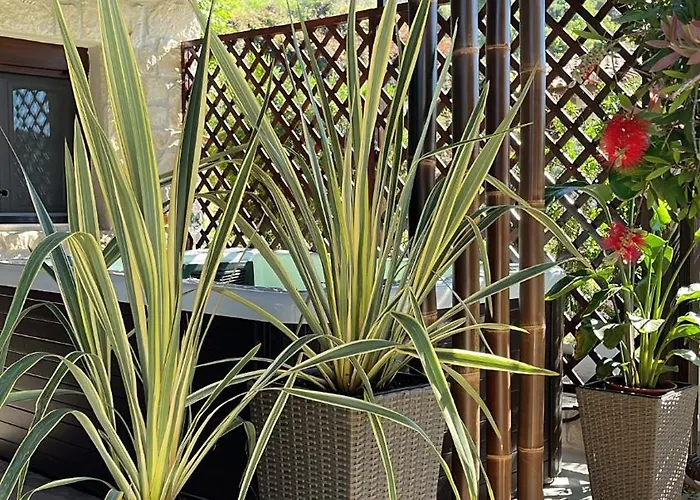 Palma House Appartamento