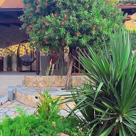 Palma House Apartamento *