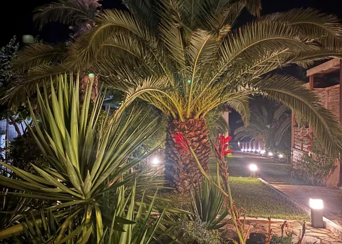 Palma House Apartamento *